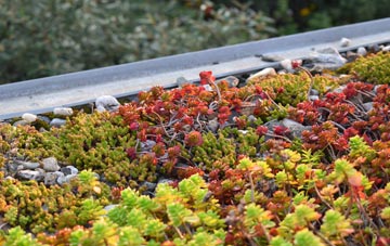 the cost of Tutts Clump green roof installation