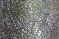 Tutts Clump fibreglass roof work